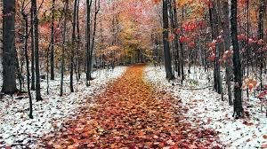 Fall winter scene